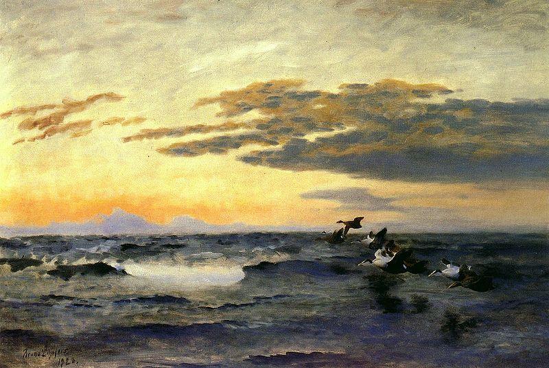 bruno liljefors Eiders at Sunrise oil painting picture
